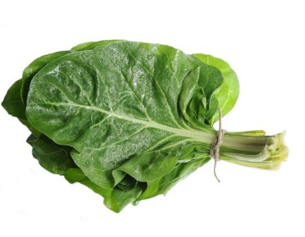 461799 SAV. Swiss Chard 1kg