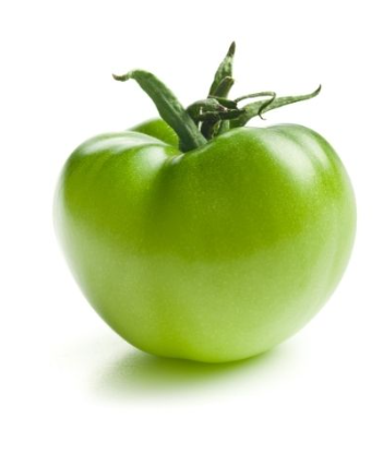 495544 SAV. Green Tomatoes 1kg