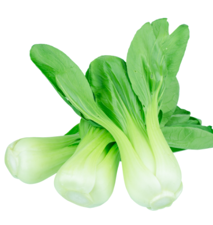 414605 SAV. Long Dutch White Pak Choi 1kg