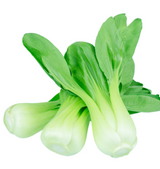 414605 SAV. Long Dutch White Pak Choi 1kg