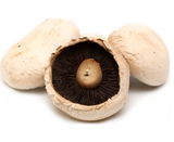 484640 SAV. Large Flat Mushrooms Bulk 1.5kg