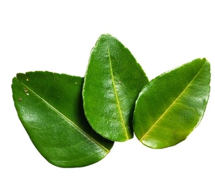415350 SAV. Kaffir Lime Leafs 100g