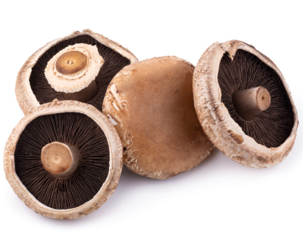 419935 SAV. Portabello Mushrooms Bulk 1.5kg