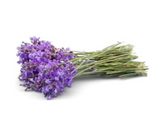 445633 SAV. Lavender 100g