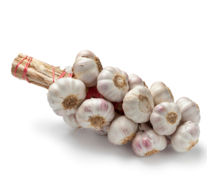 497382 SAV. Single Garlic String