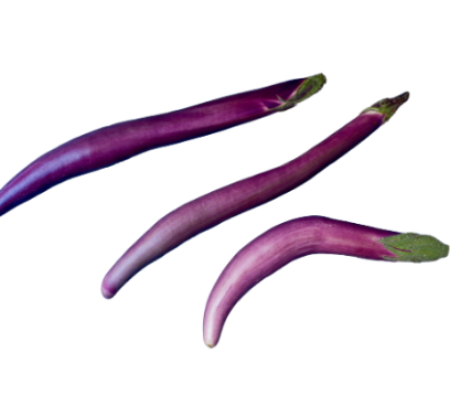 428342 SAV. Japanese Aubergines 1kg