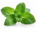 428171 SAV. Mint VIP Bulk 1kg
