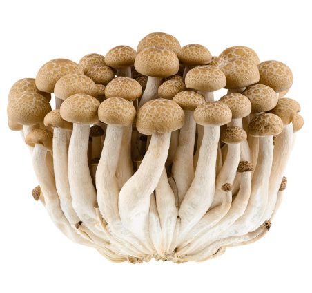 438993 SAV. Brown Shimiji Mushrooms 1kg