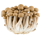 438993 SAV. Brown Shimiji Mushrooms 1kg