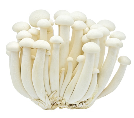 402030 SAV. White Shimiji Mushrooms 1kg