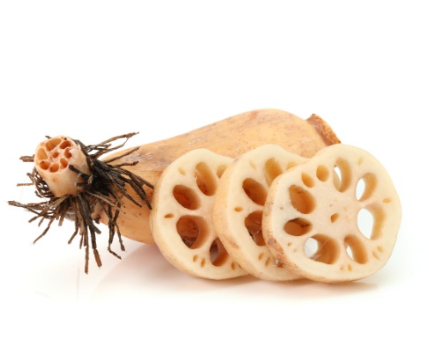 453496 SAV. Single Lotus Root