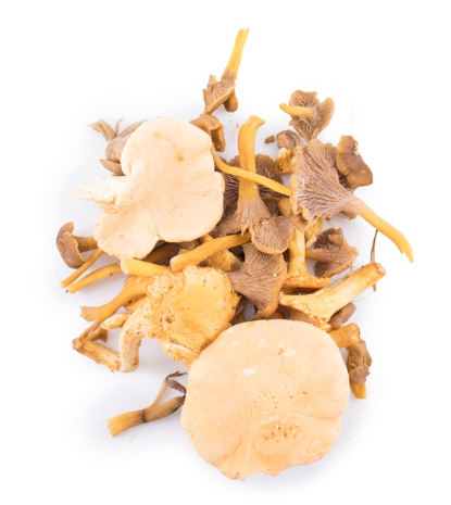 430994 SAV. Mixed Wild Mushrooms 1kg