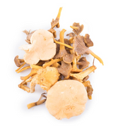 430994 SAV. Mixed Wild Mushrooms 1kg