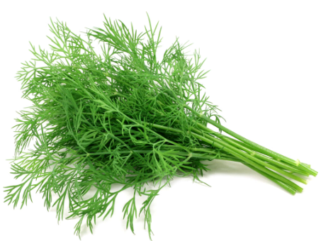 478895 SAV.  Dill Bulk 1kg