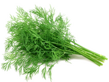 478895 SAV.  Dill Bulk 1kg