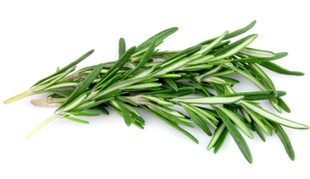 493050 SAV. Rosemary Bulk 1kg