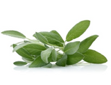 477025 SAV. Sage Bulk 1kg