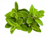 439657 SAV. Marjoram Bulk 1kg