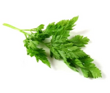481301 SAV. Chervil Bulk 1kg
