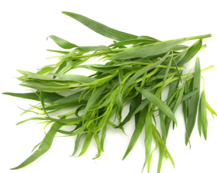 466363 SAV. Tarragon Bulk 1kg