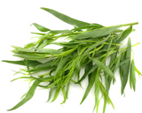 466363 SAV. Tarragon Bulk 1kg