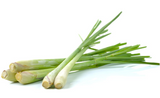 420606 SAV. Lemon Grass 1kg