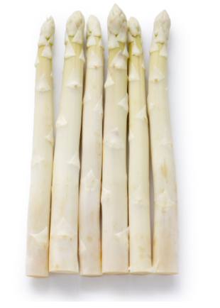 424809 SAV. Jumbo White Asparagus 1kg