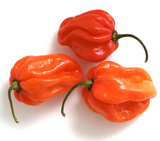 406003 SAV. Scotch Bonnets Chillies 1kg