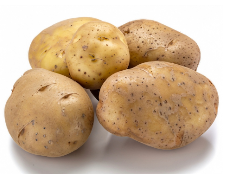 459186 SAV. Agria Potatoes Bulk 25kg