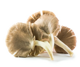 473902 SAV.  Grey Chanterelles Mushrooms 1kg