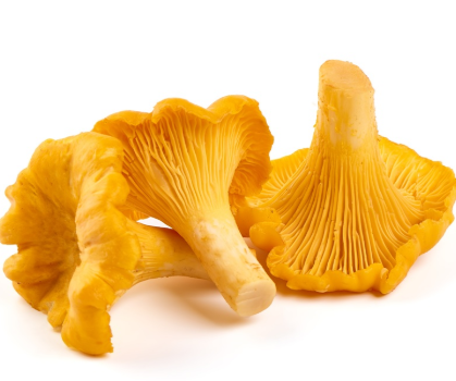 SAV. Yellow Chanterelles Mushrooms 1kg
