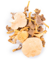 SAV. Mixed Wild Mushrooms VIP 1kg