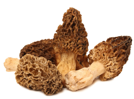 SAV. Morels Mushrooms 1kg