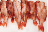 STICK.  Red Bream Wild Icelandic, Filleted, Pin Boned & Scaled, Whole 1-2kg