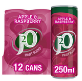 SAV.  J2O Apple and Raspberry 250ml (12 Pack)