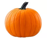 NAT. Pumpkin Medium 2-4kg  each