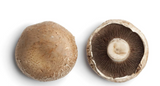Elite. Portobello Mushroom 1.5kilo tray