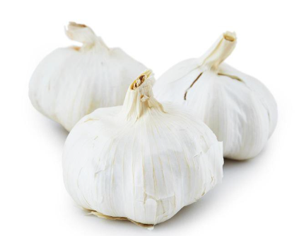 Elite. Garlic Bulb each