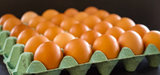 Elite. Eggs Free Range x60