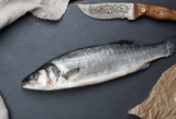 STICK.  Sea Bass Farmed, Scaled, Butterflied & Tail On, Whole 400-600g