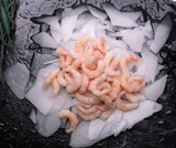 STICK. Prawn Peeled Royal  Greenland 125-175 2kg