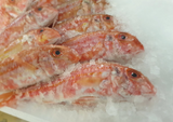 STICK. Red Mullet (native) Scaled Gilled & Gutted Whole 300-500g