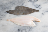 STICK.  Plaice Fillet Skin On 170-220g  each.