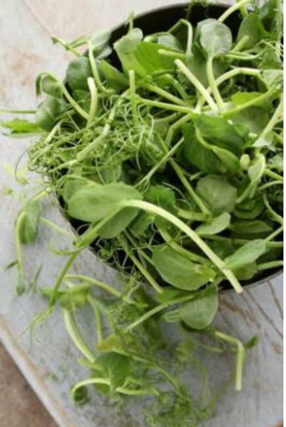 Elite. Peashoots  100g pkt