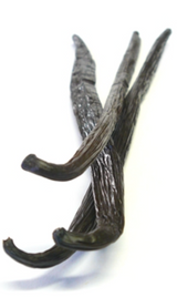 Elite. Vanilla Pods Grade A  1x10sgl