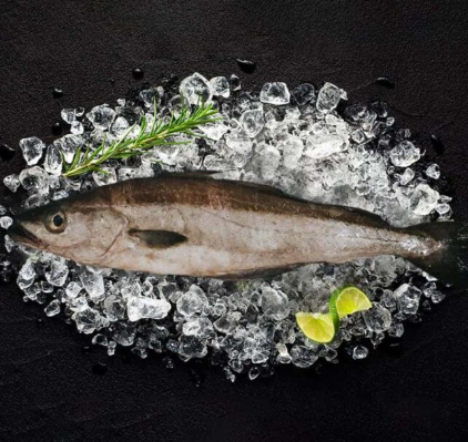 STICK. Pollock Scaled, Gilled & Gutted Whole 3-5kg
