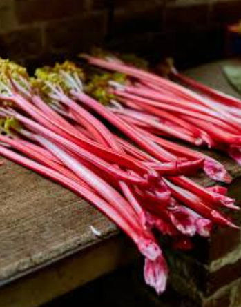 NAT. Rhubarb Dutch Indoor (Forced) 1kg