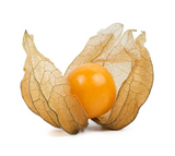 NAT. Physalis x12 Box