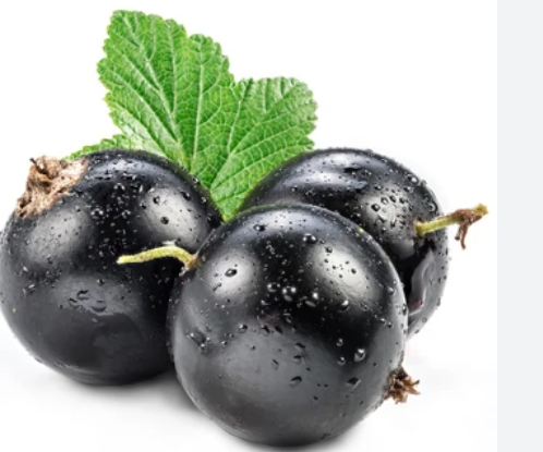 NAT. Blackcurrant Punnet