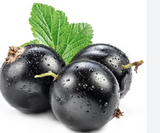 NAT. Blackcurrant Punnet